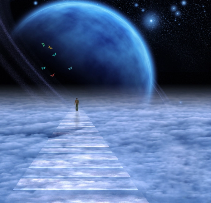 Contact